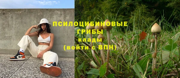 кокаин колумбия Алексин