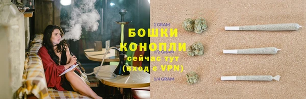 индика Нязепетровск