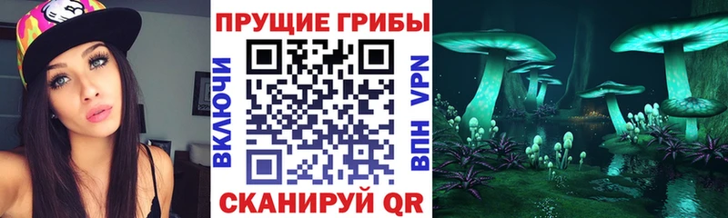 наркотики  нарко площадка клад  Галлюциногенные грибы Psilocybe  Мыски 